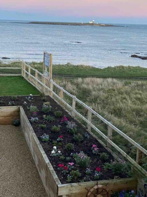 Signal House - A Stunning Beach House - 2020 Build Amble Extérieur photo